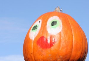 Pumpkin person